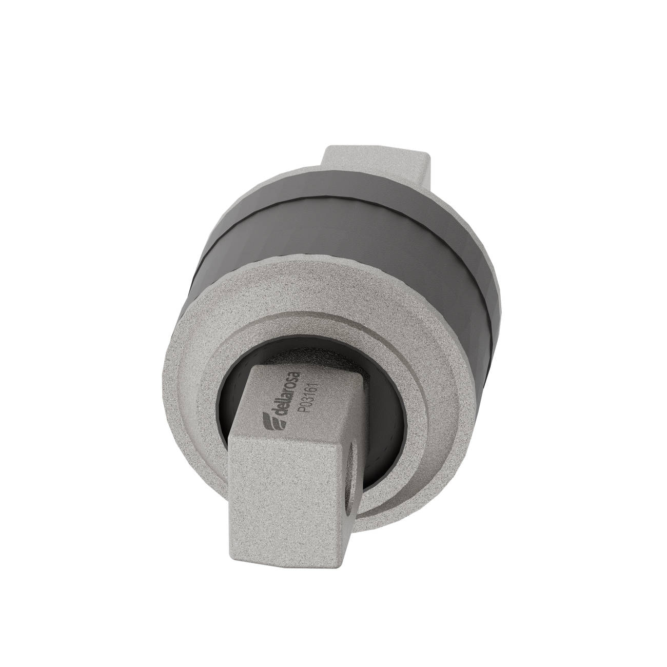 P03161-0006